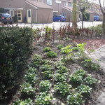 situatie na