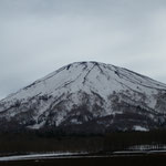 京極山荘からの羊蹄山　まだ、結構雪はついていた。