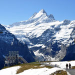 Grindelwald 2010