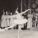 Coppelia Rodica Simion