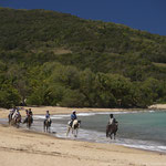 Horse riding on the beach of Cluny Deshaies © Davenport, 2014, Comité du Tourisme des Îles de la Guadeloupe CTIG