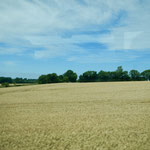 Landschaft vom Bus aus gesehen