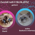 i genitori