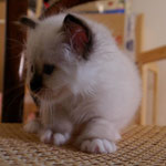 a 1 mese