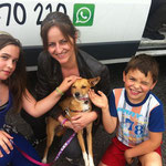 Our gorgeous MAMI BLUE with his new family in France - thanks to the association "Une Historie de Galgos".