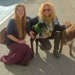 We present our Greyhound female MARIA (now MAYA) happily adopted in Granada (Spain).