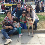How wonderful!... KAREN and his new family in Barcelona (Spain). Thanks to the asociation "Batec de Galgo".