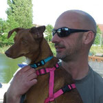 Our female podenco BALI happily adopted in France  - thanks to the association "Une Historie de Galgos".