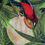 En rouge et vert - Tangara - 38 x 29 - VENDU