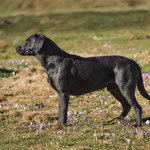 Greenbriar Jupiter