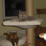 Arie und Betty