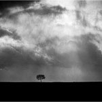 Photo : G Rouquette
