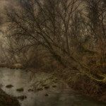 Photo : J Garcia