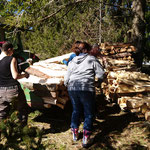 Viele Helferinnen und Helfer stalpeln das Holz am Waldrand.