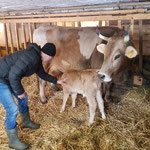 Jessie und Lucie haben Hilfe