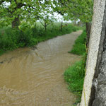 und noch mehr Wasser