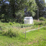 Garten mit neuem Tomatenhaus