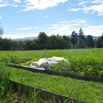 Garten mit Blick auf den Chasseral