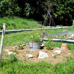 Blumeninsel verschönert den Garten.