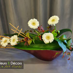 Prémices du Printemps - mars 2026 - Fleurs et Décors