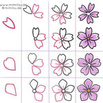 Bullet Journal und Sketchnotes - Doodles - How to draw - Malvorlage - Anleitung - Kirschblüte - Blume