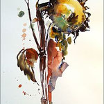 Herbstliche Sonnenblume