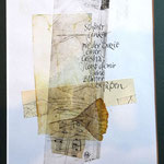ginkgo