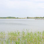 Mecklenburgische Seenplatte bei Röbel © Anja Persinger