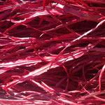 grevillea metallic red