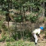 竹林玄関の竹柵を作成します。