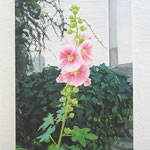 花❶　100x75cm、キャンバスに油彩、　要注文