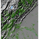 Bosques naturales y distribución