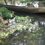 Río Magdalena, Caldas. Foto Andrés Acosta