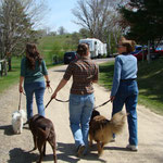 Pre photo shoot walk with Jimmy, Bella & Co.