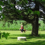 Luann Kopp in her first enjoyable walk ever with Nick.