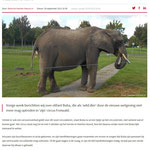 2015 09 29 Bron: https://heerlen.nieuws.nl/nieuws/33748/inwoners-heerlen-maken-zich-sterk-voor-olifant-buba/