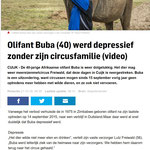 2016 10 27 Bron: https://www.ad.nl/zoetermeer/buba-is-echt-een-lid-van-de-circusfamilie~a9918832/