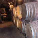 De wijn caves van Anjou