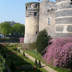 De bastide in Angers