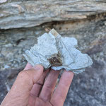 Pyrit in dunkelgrünen Tonschiefer, Schamserberg, Graubünden, Schweiz