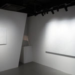 2020　個展「素知覚」 / Primordial Perception　EUKARYOTE