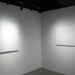 2020　個展「素知覚」 / Primordial Perception　EUKARYOTE