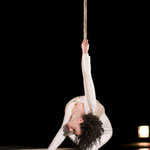 (c) Rigolo Nouveau Cirque