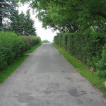 56 - leicht bergauf
