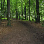 19 - weiter bergauf