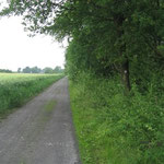 51 - geradeaus bis ...