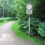 40 - in den Wald