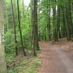 09 - weiter bis zum Teich