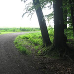 50 - dann rechts halten