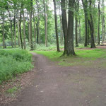 46 - links halten